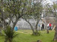 Polytunnel 11